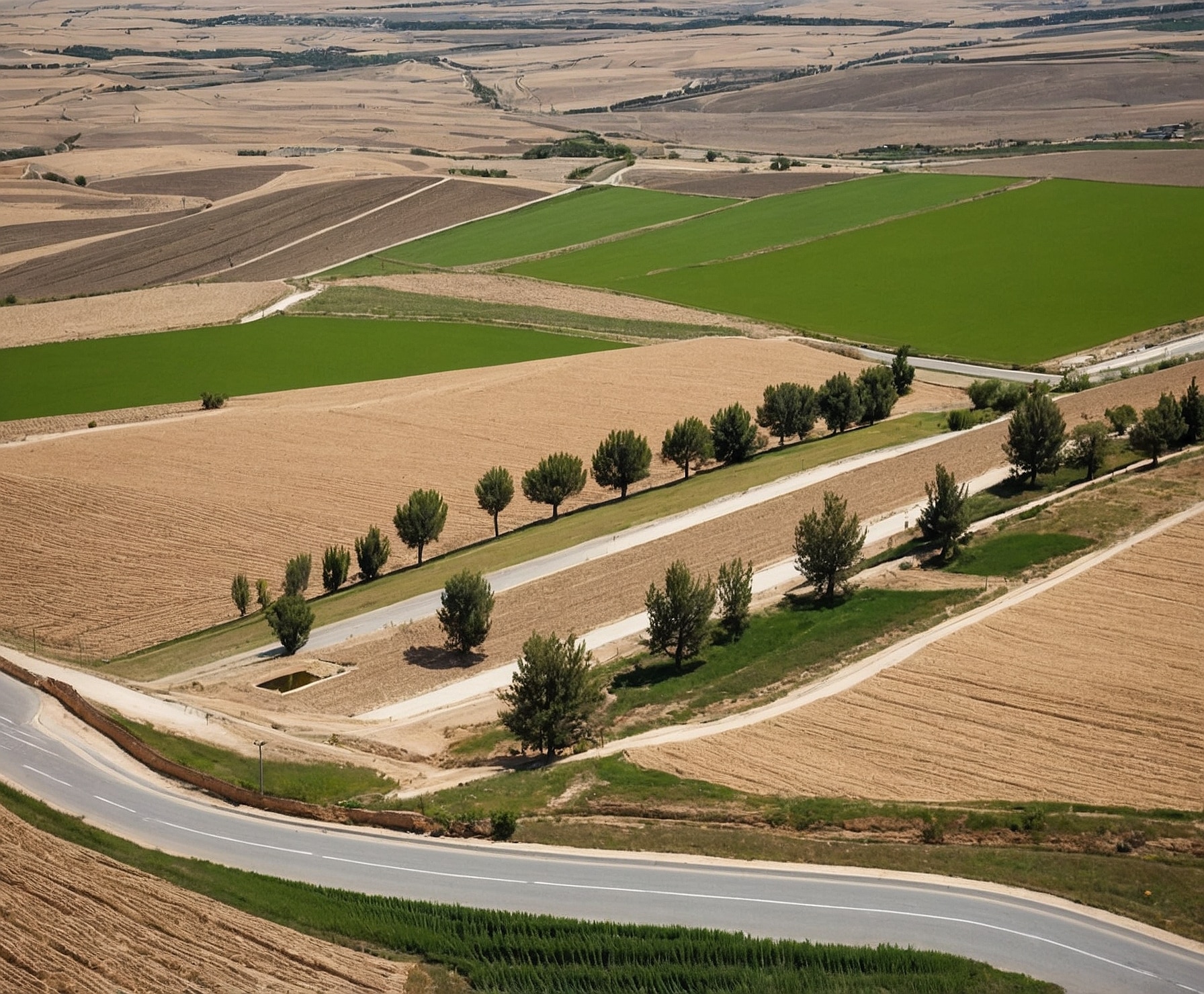 Cultivo innovador de almendras en Lleida
